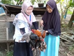 Ayah Tewas Kecelakaan, Bocah Malang Ini Dapat Bantuan Ternak Ayam Kementerian Sosial RI