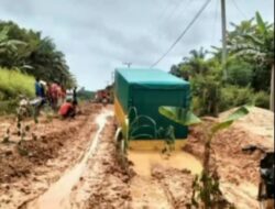 Kecewa Terhadap Pemprov Riau, Warga Gelar Aksi Tanam Pohon Pisang Di Jalinsel yang Hancur