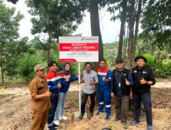 Pertagas Kembangkan Budidaya Lebah Madu Trigona