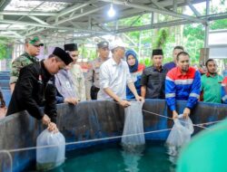 Pertagas Hadirkan Program Budidaya Ikan Gurami