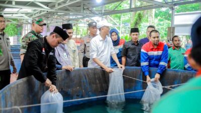 Pertagas Hadirkan Program Budidaya Ikan Gurami
