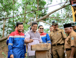 Pertagas Tingkatkan Produksi Madu Trigona