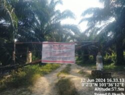 Ada BIN “Kuasai” Sawit Atas Lahan HTI!