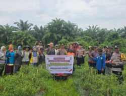 Polsek Kuala Cenaku Imbau Petani Cabe Gunakan Hak Pilih